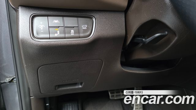 Hyundai Santa Fe (TM) Gasoline 2.0T 2WD Prestige 2020 — фото 28