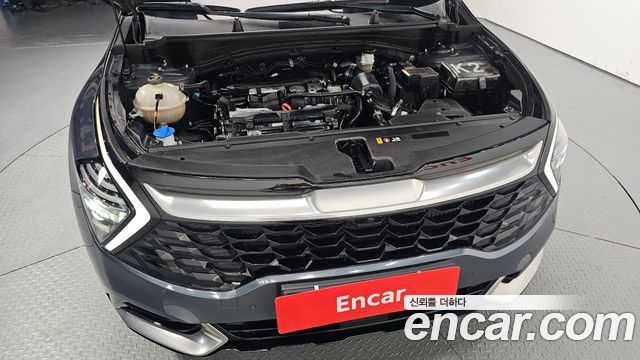 Kia Sportage (V) Gasoline 1.6 Turbo 2WD Signature 2023 — фото 6