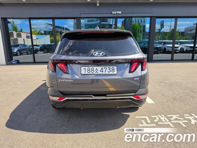 Hyundai Tucson (NX4) Diesel 2.0 4WD Modern 2023 — фото 3