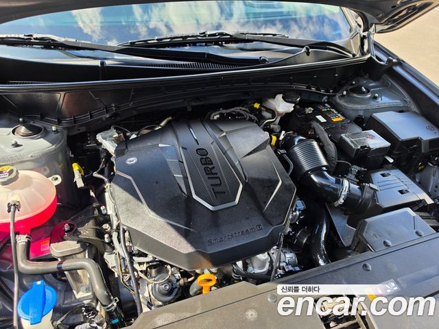 Hyundai Tucson (NX4) Diesel 2.0 4WD Modern 2023 — фото 6