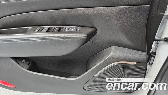 Renault Korea SM6 2.0 LPe RE (Disabled) 2019 — фото 29
