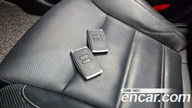 Renault Korea SM6 2.0 LPe RE (Disabled) 2019 — фото 30