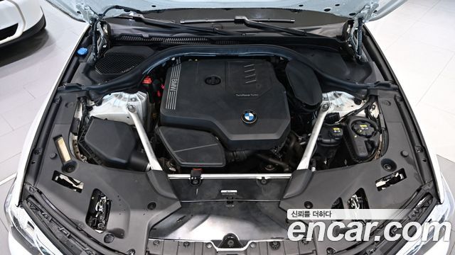 BMW 5 Series (G30) 520i Luxury 2021 — фото 6