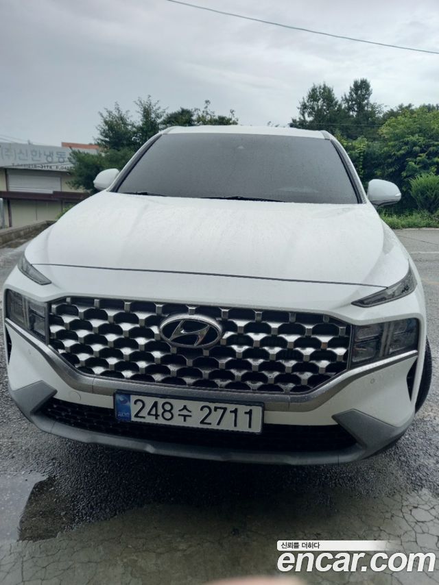 Hyundai Santa Fe Diesel 2.2 2WD Exclusive 2022 — фото 9