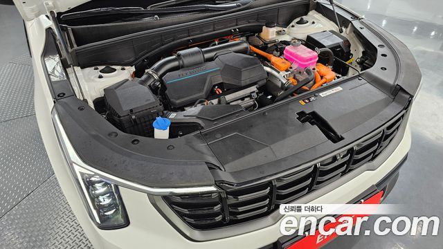 Kia Sorento (IV) HEV 1.6 2WD Gravity 2024 — фото 6