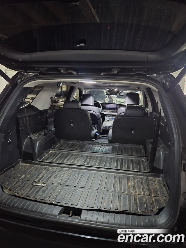 Hyundai Palisade Diesel 2.2 2WD Exclusive 2021 — фото 13