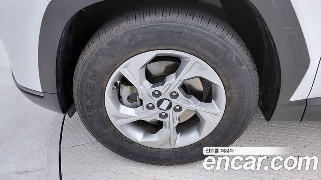 Hyundai Tucson (NX4) Diesel 2.0 2WD Modern 2023 — фото 5