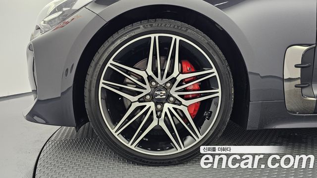 Kia Stinger Meister 2.5 Platinum 2021 — фото 5
