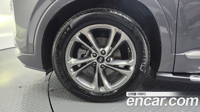 Hyundai Santa Fe (TM) Diesel 2.2 2WD Inspiraition 2019 — фото 5
