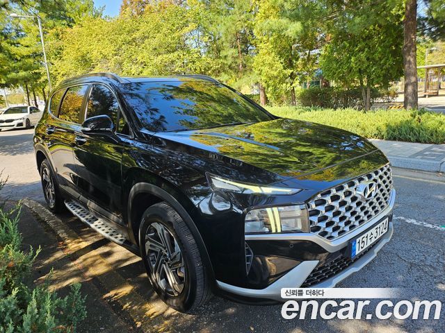 Hyundai Santa Fe Diesel 2.2 2WD Premium Choice 2021 — фото 23