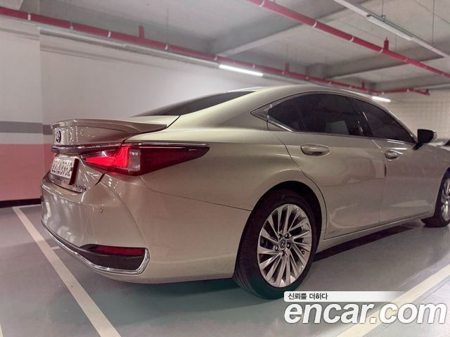 Lexus ES300h (VII) Executive 2020 — фото 5