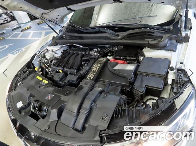 Renault Korea SM6 2.0 LPe LE (Disabled) 2017 — фото 23