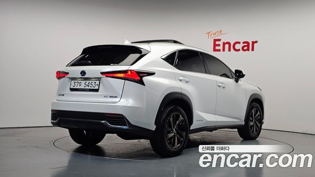 Lexus NX300h Executive 2019 — фото 2