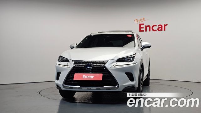 Lexus NX300h Executive 2019 — фото 3