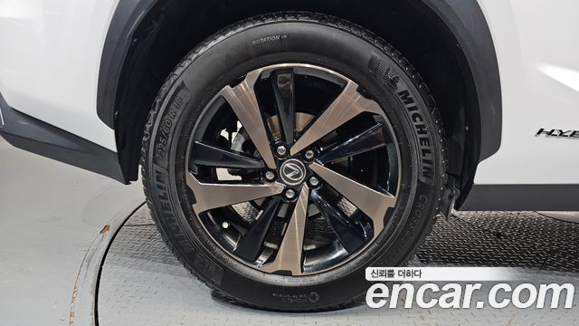 Lexus NX300h Executive 2019 — фото 21
