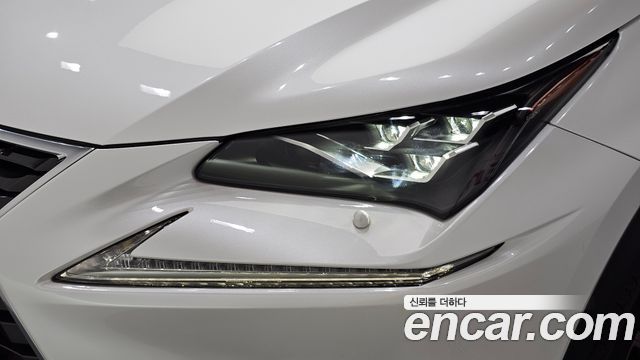 Lexus NX300h Executive 2019 — фото 22