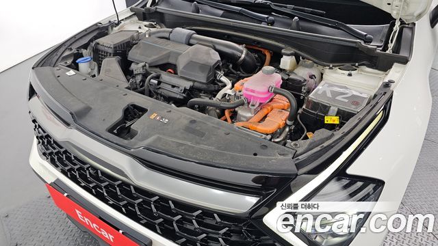 Kia Sportage Hybrid (V) Signature Gravity 2WD 2024 — фото 6