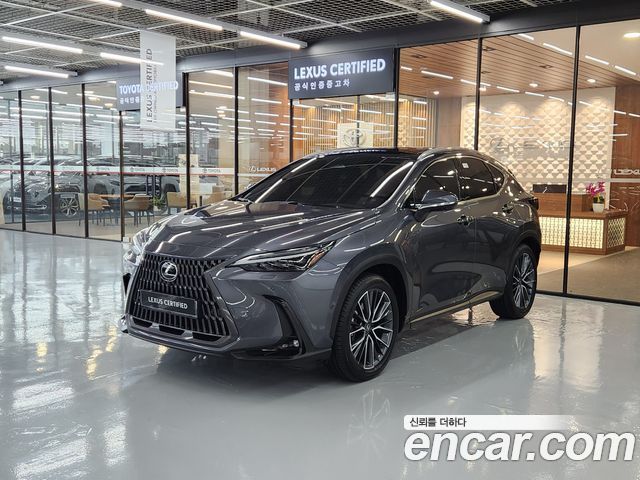 Lexus NX350h (II) Luxury