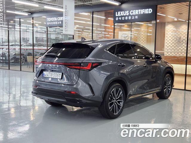 Lexus NX350h (II) Luxury 2026 — фото 2