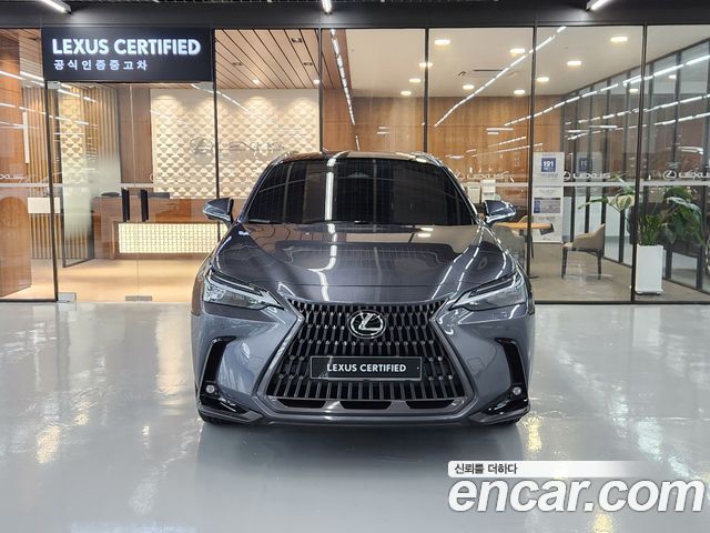 Lexus NX350h (II) Luxury 2026 — фото 3