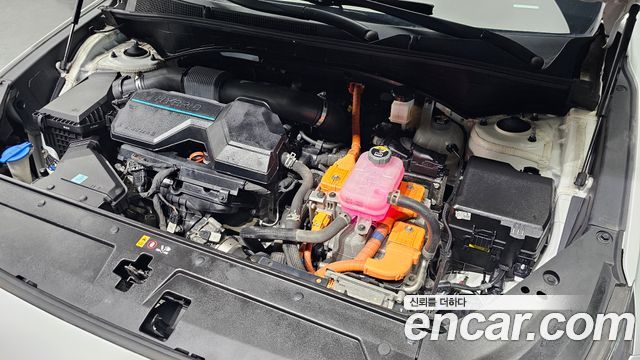 Hyundai Santa Fe HEV 1.6 2WD Exclusive 2022 — фото 6