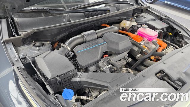 Kia Sportage Hybrid (V) Signature 2WD 2022 — фото 6