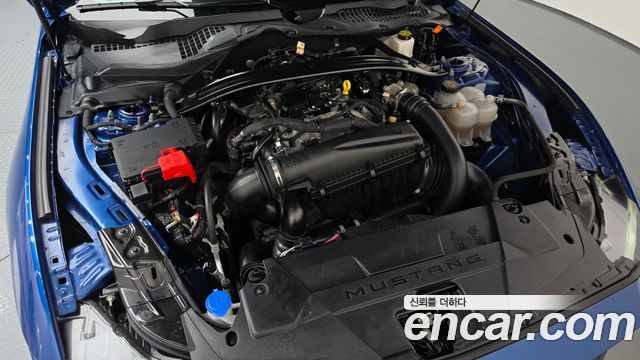 Ford Mustang (VII) 2.3 EcoBoost Premium Coupe 2024 — фото 6