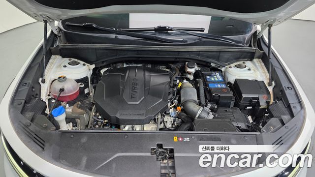 Kia Sorento (IV) Diesel 2.2 2WD Prestige 2023 — фото 6