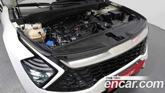 Kia Sportage (V) Gasoline 1.6 Turbo 4WD Signature 2022 — фото 6