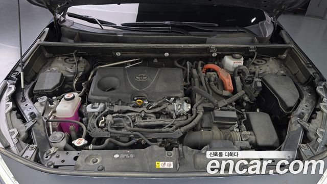 Toyota RAV4 (V) 2,5 4WD Hybrid LTD 2023 — фото 6