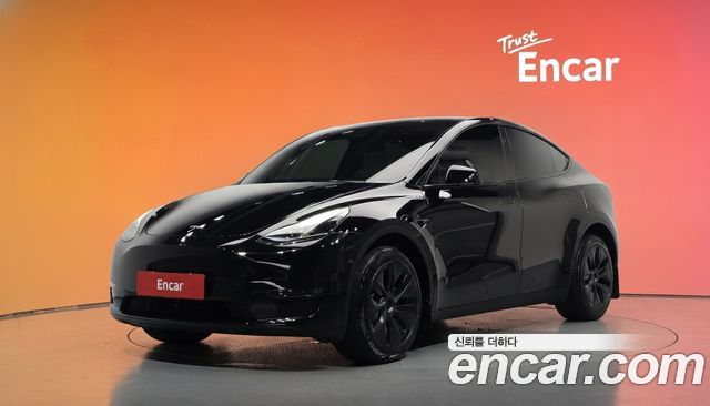 Tesla Model Y Long Range AWD 2024 — фото 1