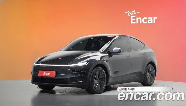 Tesla Model Y Long Range AWD 2025 — фото 1
