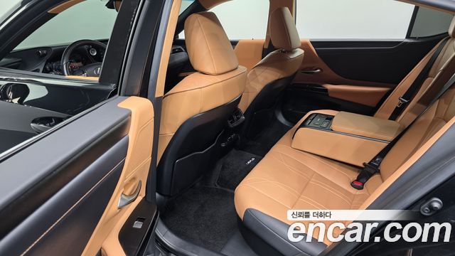 Lexus ES300h (VII) Luxury Plus 2023 — фото 12