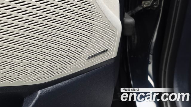 Hyundai Palisade Diesel 2.2 2WD Prestige 2019 — фото 19