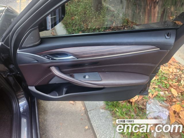 BMW 5 Series (G30) 520d Luxury Plus 2020 — фото 19