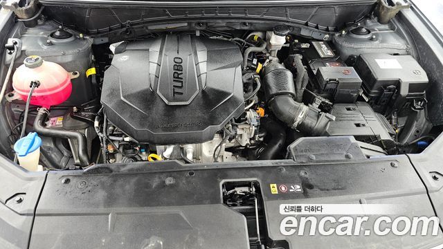 Hyundai Tucson (NX4) Diesel 2.0 2WD Premium 2023 — фото 6