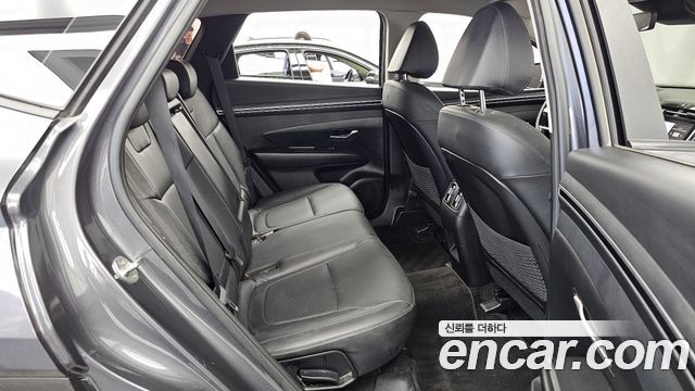 Hyundai Tucson (NX4) Diesel 2.0 2WD Premium 2023 — фото 12