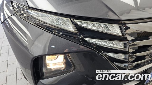 Hyundai Tucson (NX4) Diesel 2.0 2WD Premium 2023 — фото 22