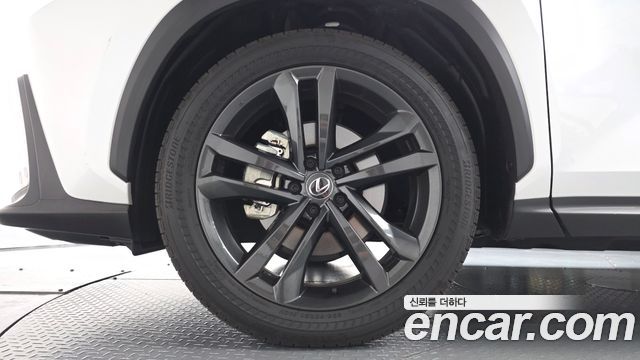 Lexus NX350h (II) Premium 2025 — фото 5