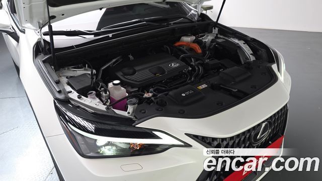 Lexus NX350h (II) Premium 2025 — фото 6