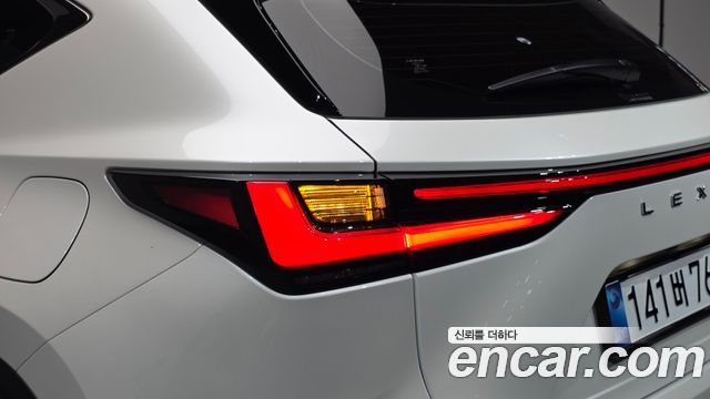 Lexus NX350h (II) Premium 2025 — фото 23