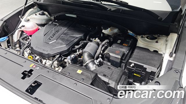 Hyundai Santa Fe Diesel 2.2 2WD Exclusive 2023 — фото 6