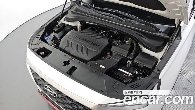 Hyundai Santa Fe (TM) Diesel 2.0 2WD Exclusive 2019 — фото 6