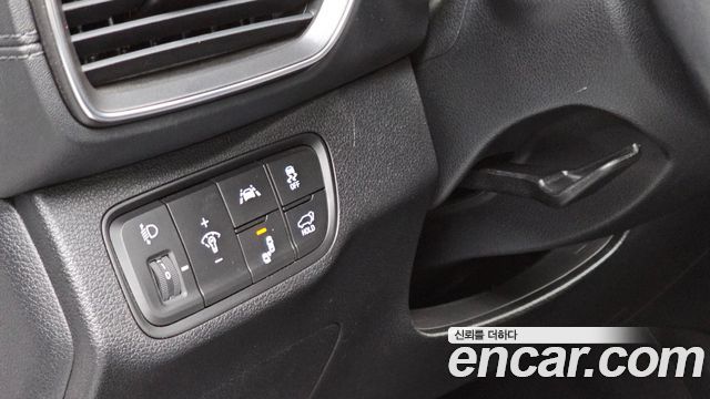 Hyundai Santa Fe (TM) Diesel 2.0 2WD Exclusive 2019 — фото 13