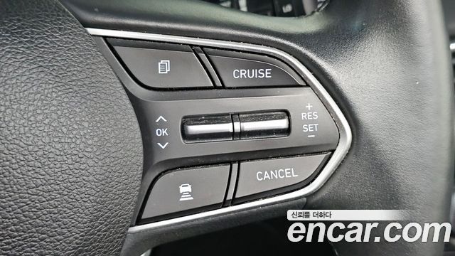 Hyundai Santa Fe (TM) Diesel 2.0 2WD Exclusive 2019 — фото 17