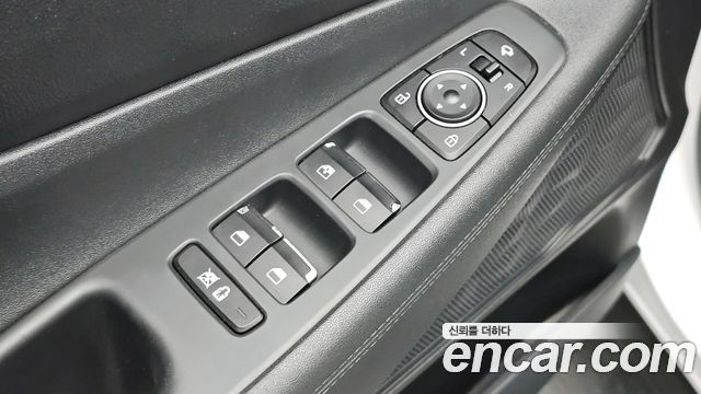 Hyundai Santa Fe (TM) Diesel 2.0 2WD Exclusive 2019 — фото 19