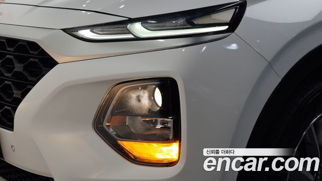 Hyundai Santa Fe (TM) Diesel 2.0 2WD Exclusive 2019 — фото 22
