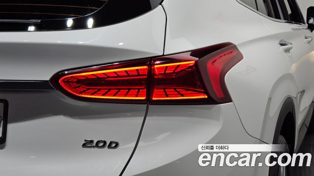 Hyundai Santa Fe (TM) Diesel 2.0 2WD Exclusive 2019 — фото 23