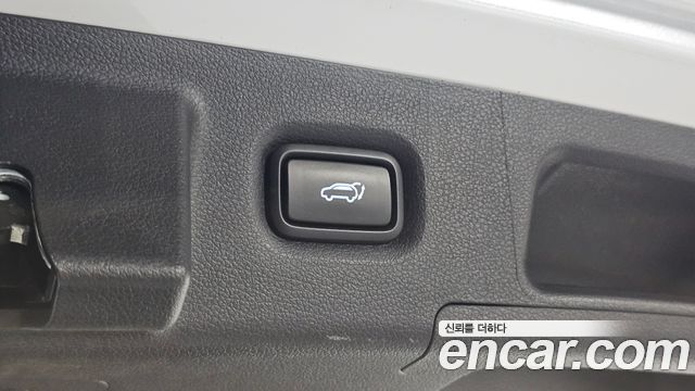 Hyundai Santa Fe (TM) Diesel 2.0 2WD Exclusive 2019 — фото 32