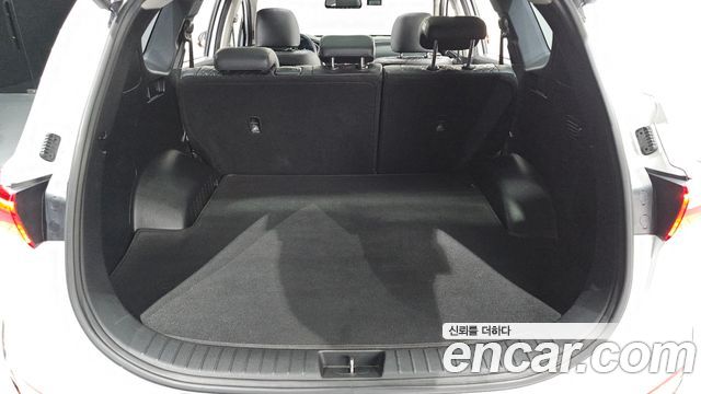 Hyundai Santa Fe (TM) Diesel 2.0 2WD Exclusive 2019 — фото 33